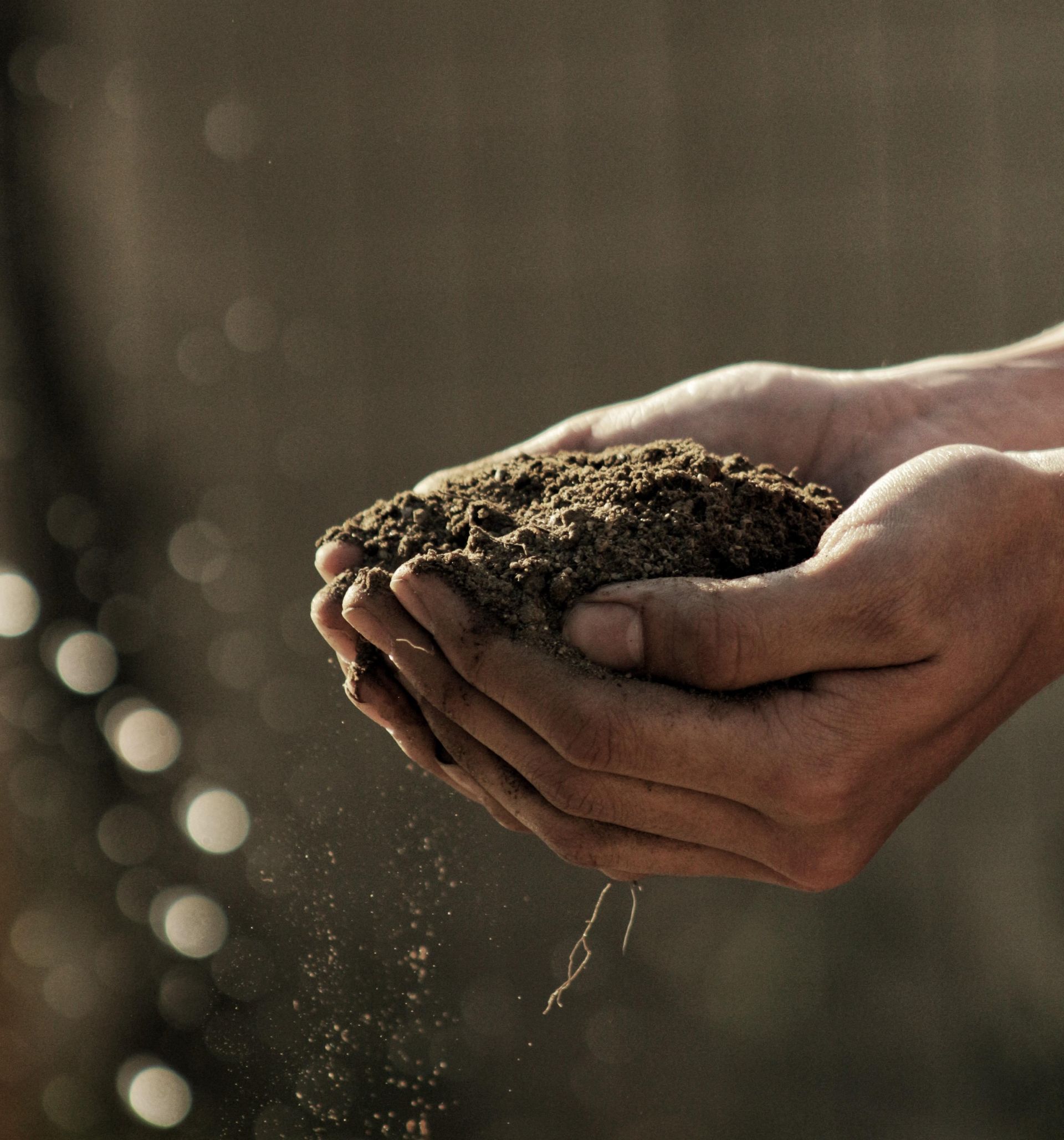 Lire la suite à propos de l’article « dry-intersaison » et drainage